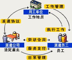 上海勞務(wù)派遣與企業(yè)管理咨詢(xún)服務(wù) 優(yōu)選伙伴與五險(xiǎn)一金合規(guī)指南