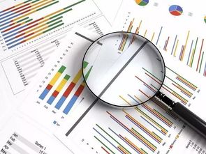 2017中國涂料與木器涂料市場調研報告 企業管理咨詢視角